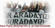 Gezi'nin 3. yıldönümünde  'Daha fazla Gezi, daha fazla direniş'