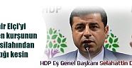 HDP Eş Genel Başkanı Selahattin Demirtaş, 'Tahir Elçi'yi öldüren kurşunun polis silahından çıktığı kesin'