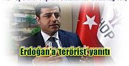 HDP Eş Genel Başkanı Selahattin Demirtaş'tan,   Erdoğan’a ‘terörist’ yanıtı