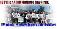 HDP heyeti, Avrupalı parlamenterlerle birlikte AİHM önünde