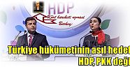 Kürt hareketi uzmanı Barkey:   Türkiye hükümetinin asıl hedefi HDP, PKK değil