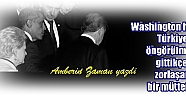 Washington havası: Türkiye öngörülmesi gittikçe zorlaşan bir müttefik - Amberin Zaman