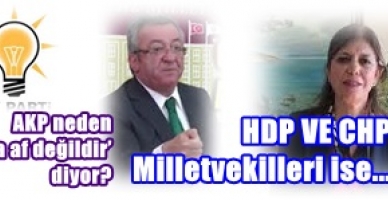 AKP neden 'bu yasa af değildir' diyor, HDP,CHP millet vekilleri açıklıyor